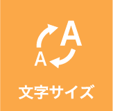 文字サイズ